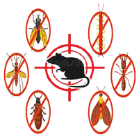 مكافحه الحشرات